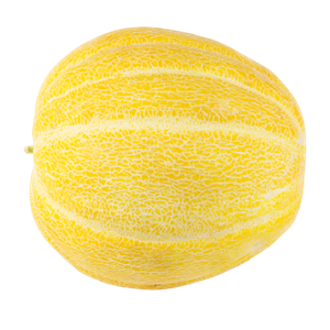 Melon PNG-14363